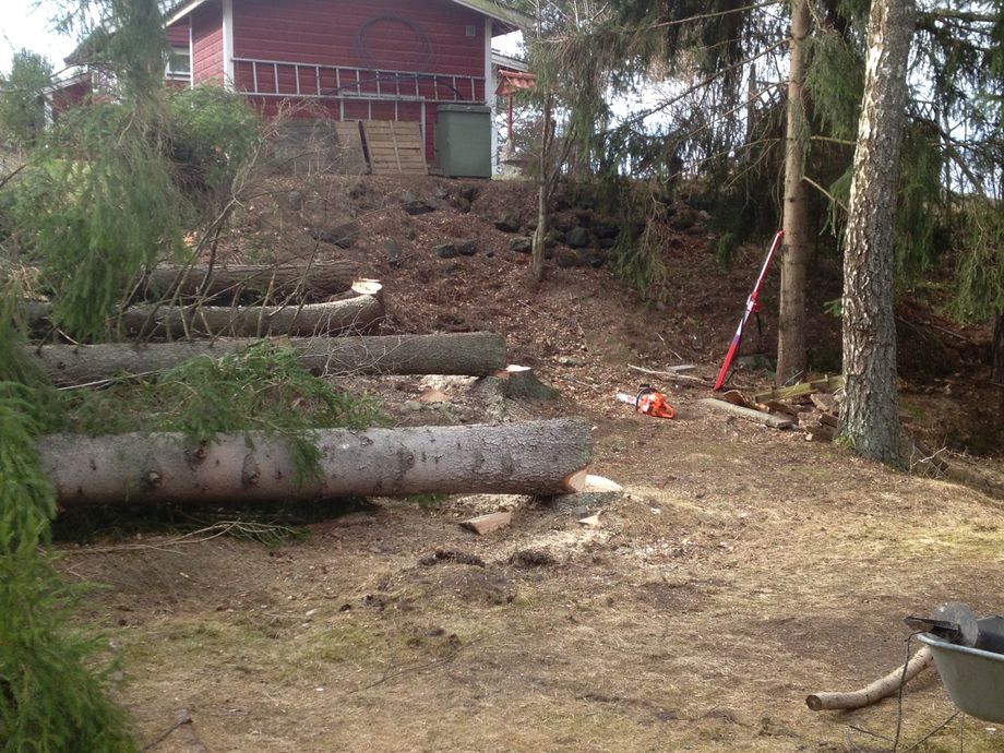 Granar fälls inför garagebygge