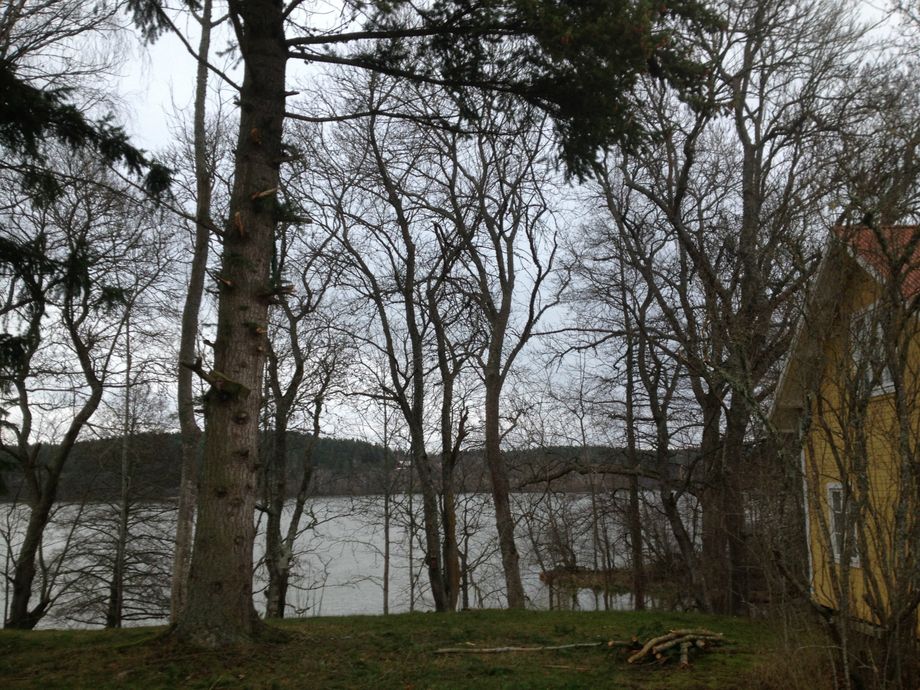 Douglasgran före