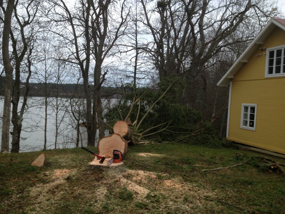Efter.  Höjd 29 meter.