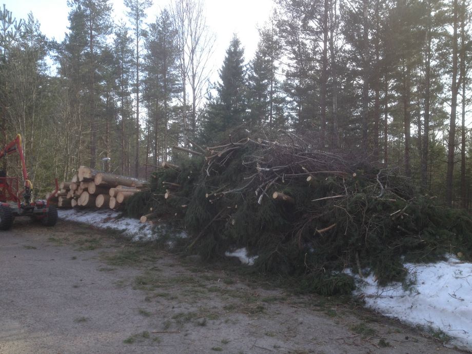 Skotning av ris och virke efter huggning på tomt, Åsbro.