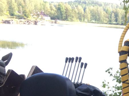 Ris skotning